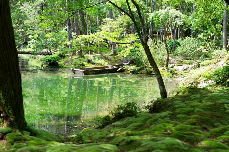 Photo from 2026 Kyoto album - Image 19