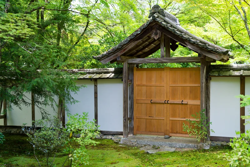Photo from 2026 Kyoto album - Image 21