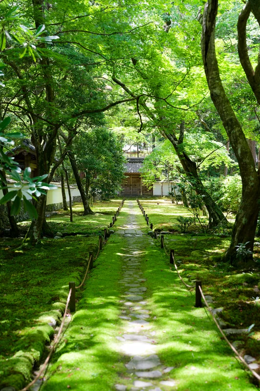 Photo from 2026 Kyoto album - Image 23