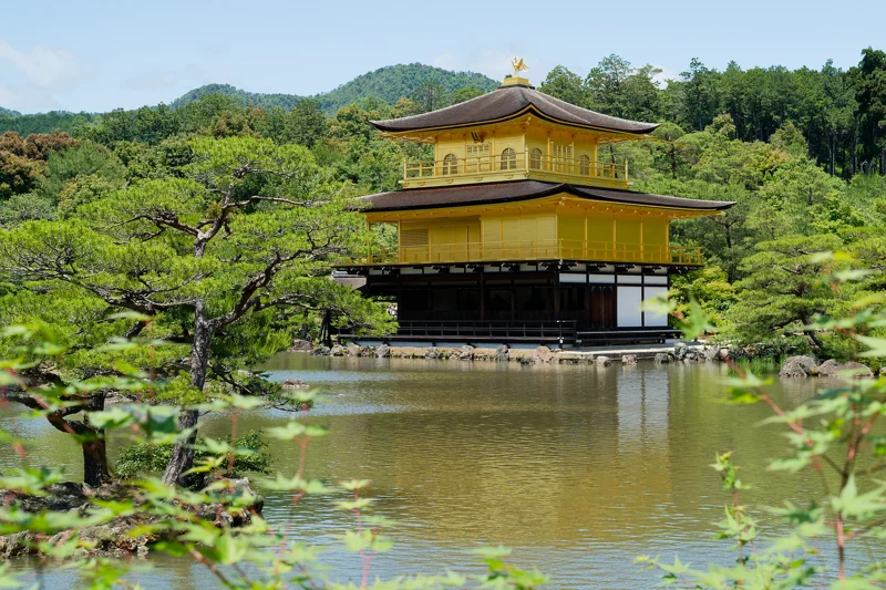 Photo from 2026 Kyoto album - Image 24
