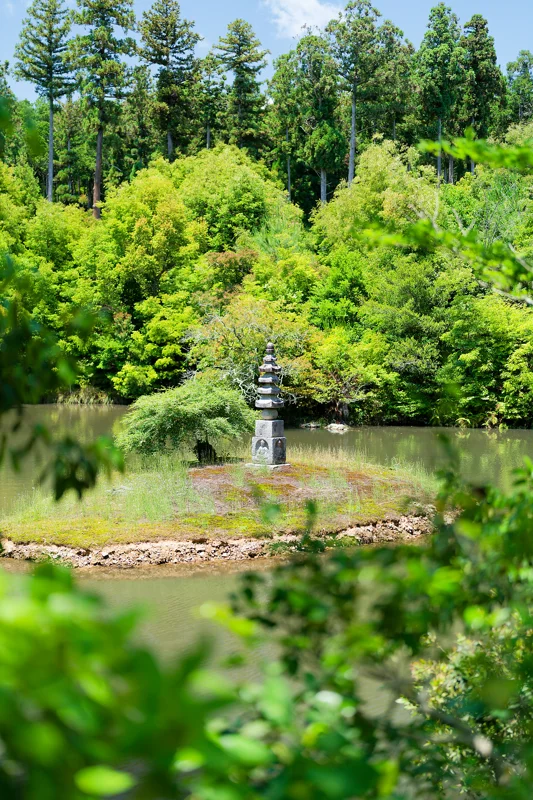 Photo from 2026 Kyoto album - Image 25