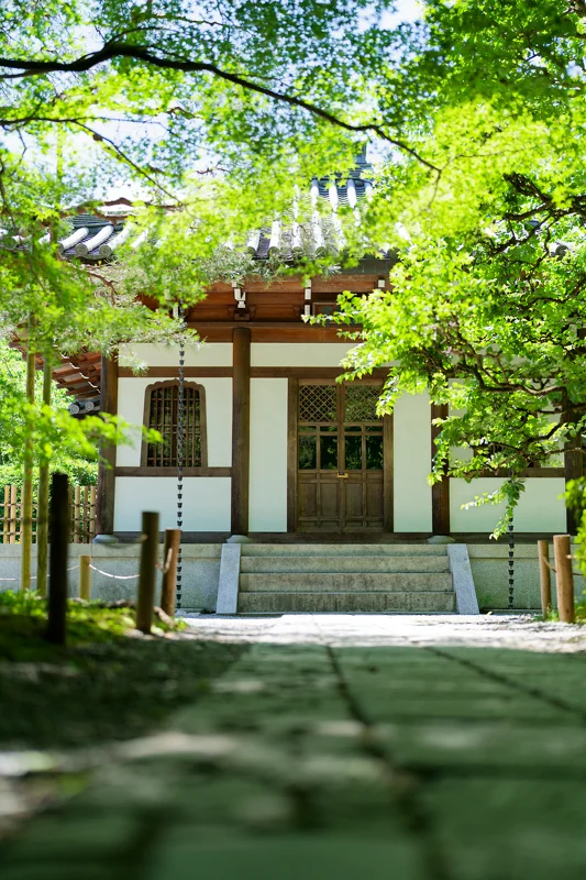 Photo from 2026 Kyoto album - Image 26