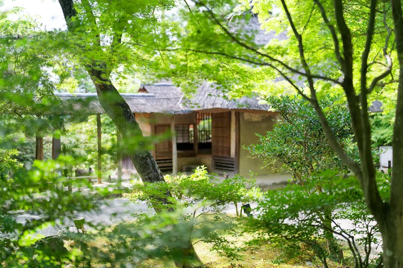 Photo from 2026 Kyoto album - Image 39
