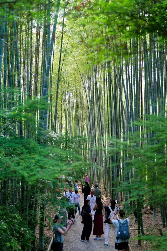 Photo from 2026 Kyoto album - Image 40
