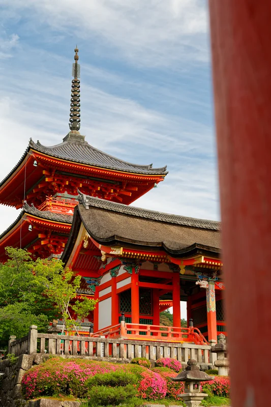 Photo from 2026 Kyoto album - Image 42
