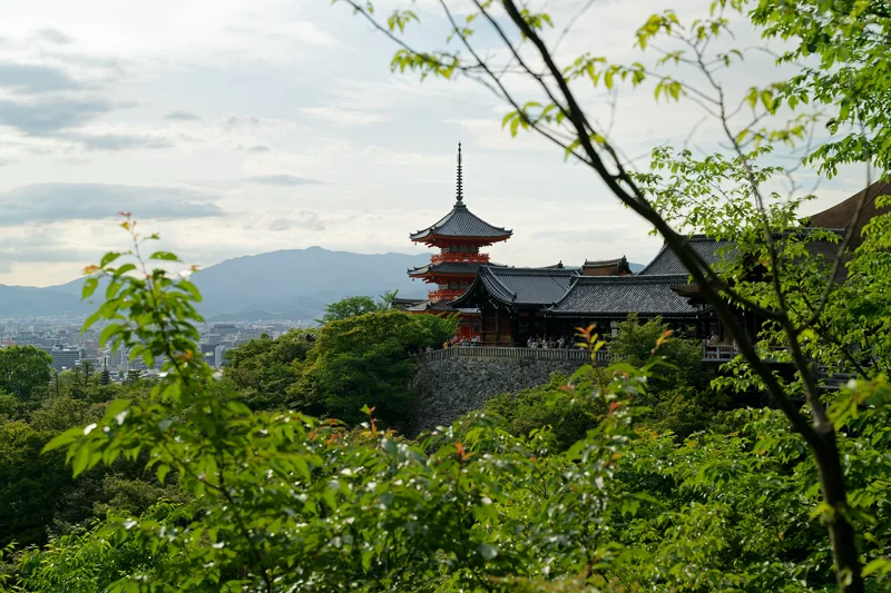 Photo from 2026 Kyoto album - Image 44