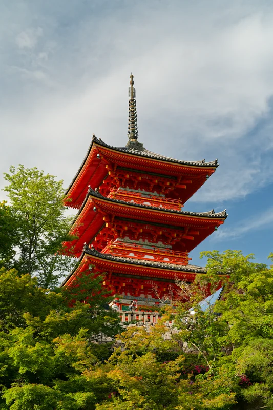 Photo from 2026 Kyoto album - Image 45