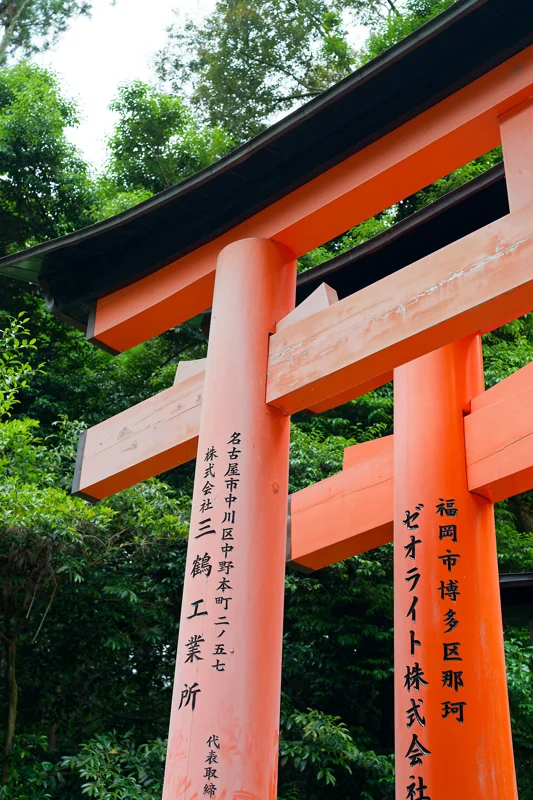 Photo from 2026 Kyoto album - Image 48