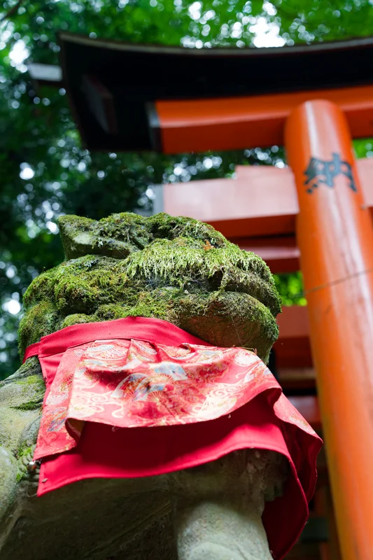 Photo from 2026 Kyoto album - Image 50