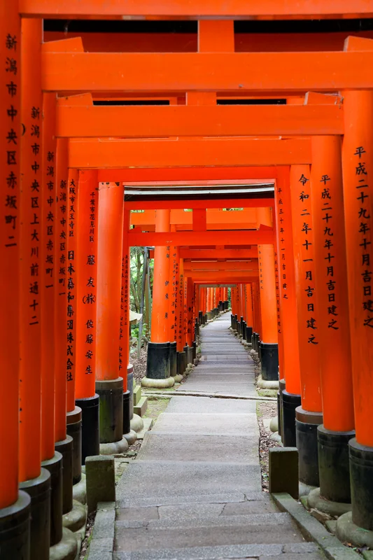 Photo from 2026 Kyoto album - Image 51