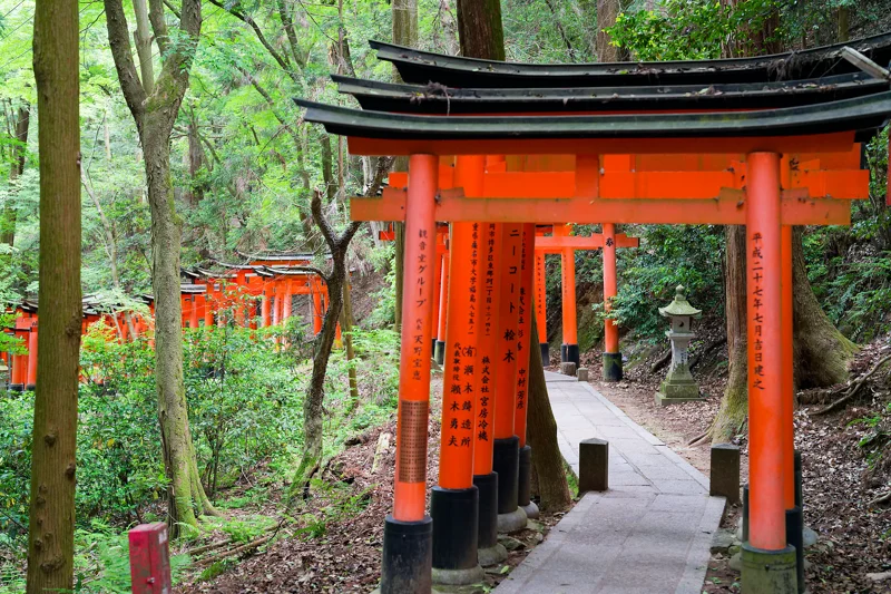 Photo from 2026 Kyoto album - Image 52