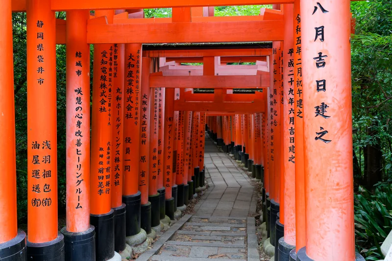 Photo from 2026 Kyoto album - Image 53