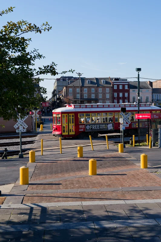 Photo from 2026 New Orleans album - Image 1