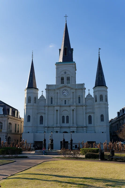 Photo from 2026 New Orleans album - Image 4