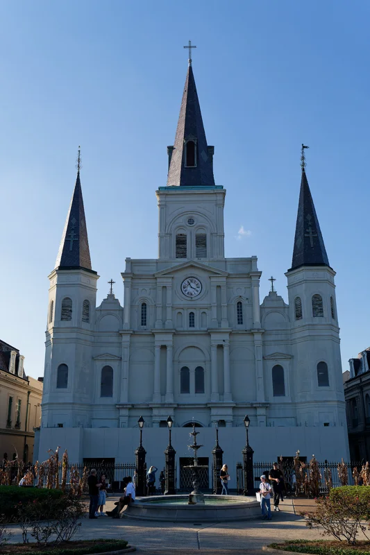 Photo from 2026 New Orleans album - Image 5