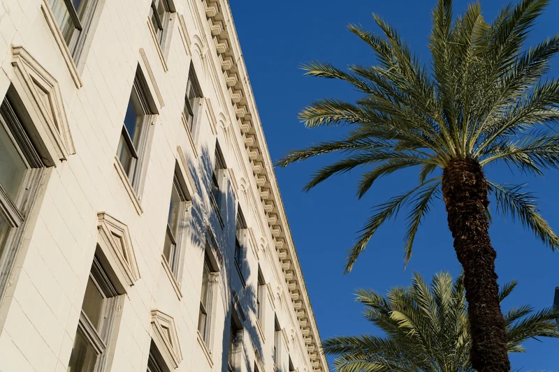 Photo from 2026 New Orleans album - Image 11