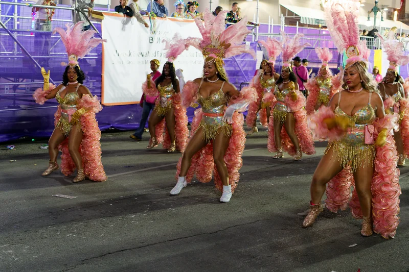 Photo from 2026 New Orleans album - Image 29