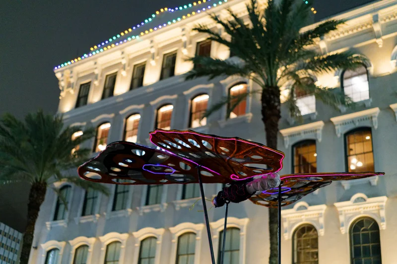 Photo from 2026 New Orleans album - Image 34