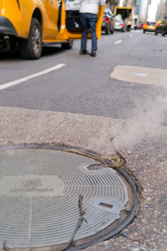 Photo from 2026 Nyc album - Image 13