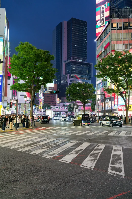 Photo from 2026 Tokyo album - Image 1