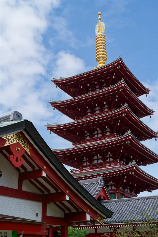 Photo from 2026 Tokyo album - Image 10
