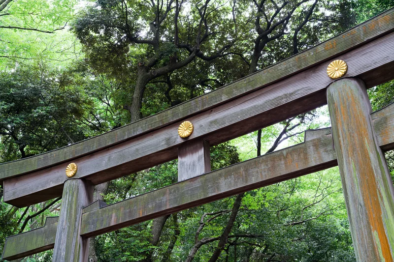 Photo from 2026 Tokyo album - Image 15
