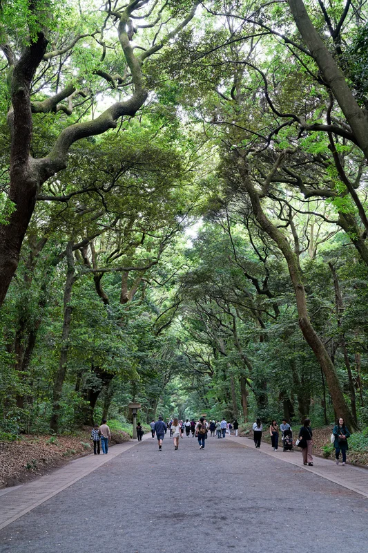 Photo from 2026 Tokyo album - Image 16