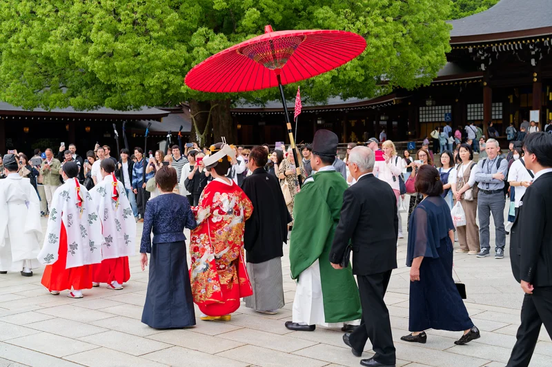 Photo from 2026 Tokyo album - Image 19