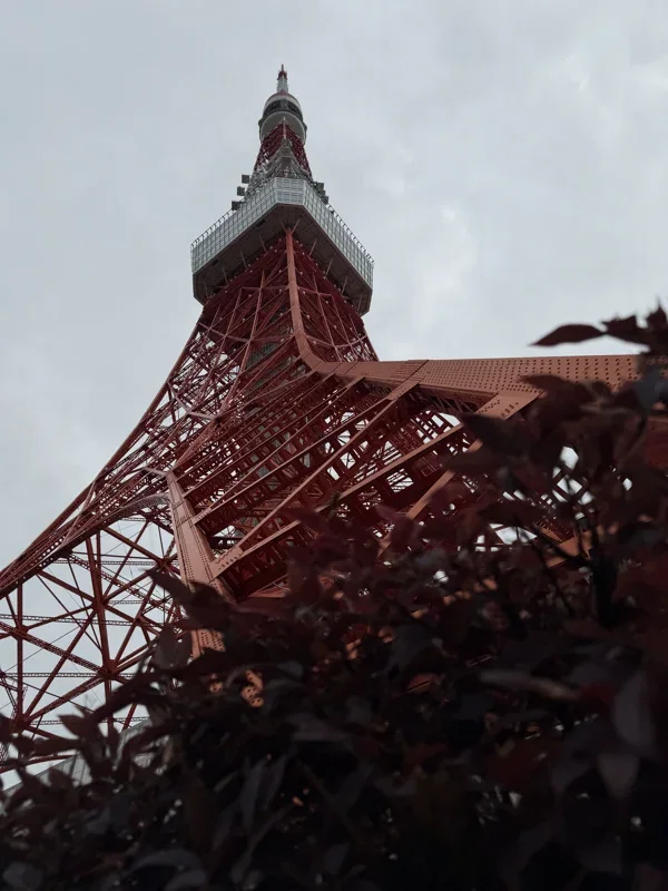 Photo from 2026 Tokyo album - Image 35