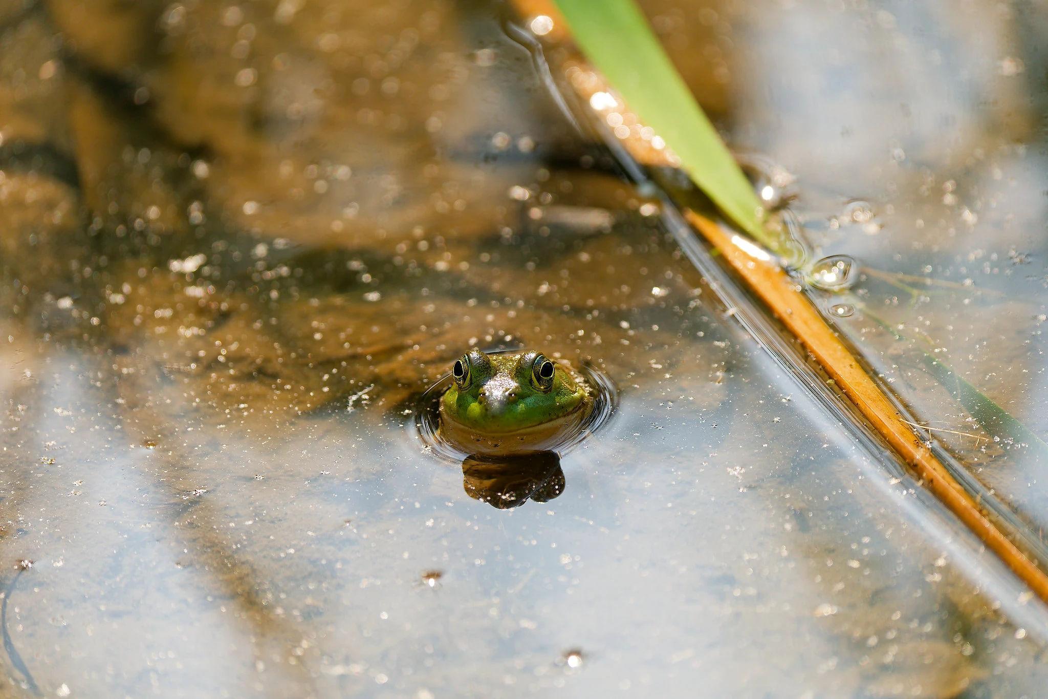 Featured photography by Joshua Powers - Image 3